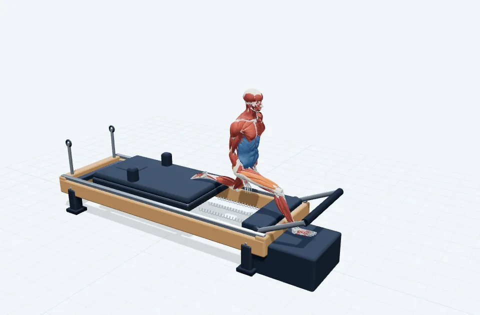 バックワードランジの動作の一場面を示す3D模式図