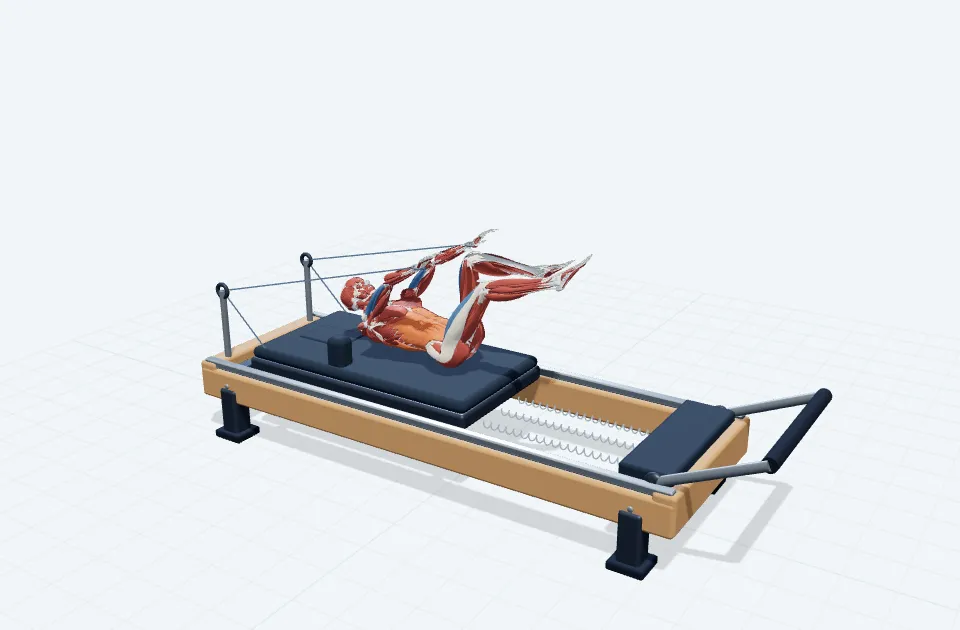 カールアップ→シングルレッグストレッチの動作の一場面を示す3D模式図