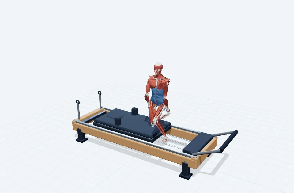 ヒップアダクションの動作の一場面を示す3D模式図
