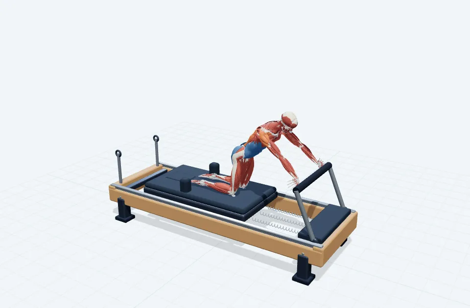 ヒップ&ショルダームーブメントの動作の一場面を示す3D模式図
