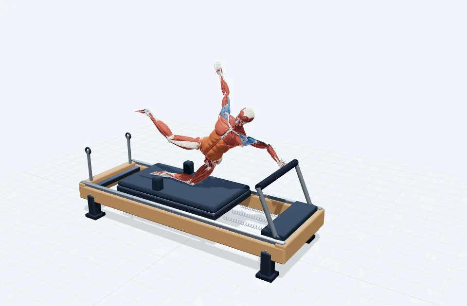 ニーリングサイドプランクの動作の一場面を示す3D模式図