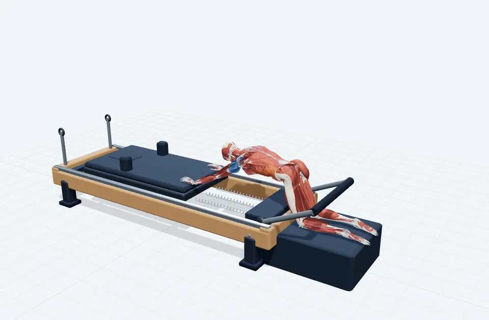 キャットバック On the Long Boxの動作の一場面を示す3D模式図