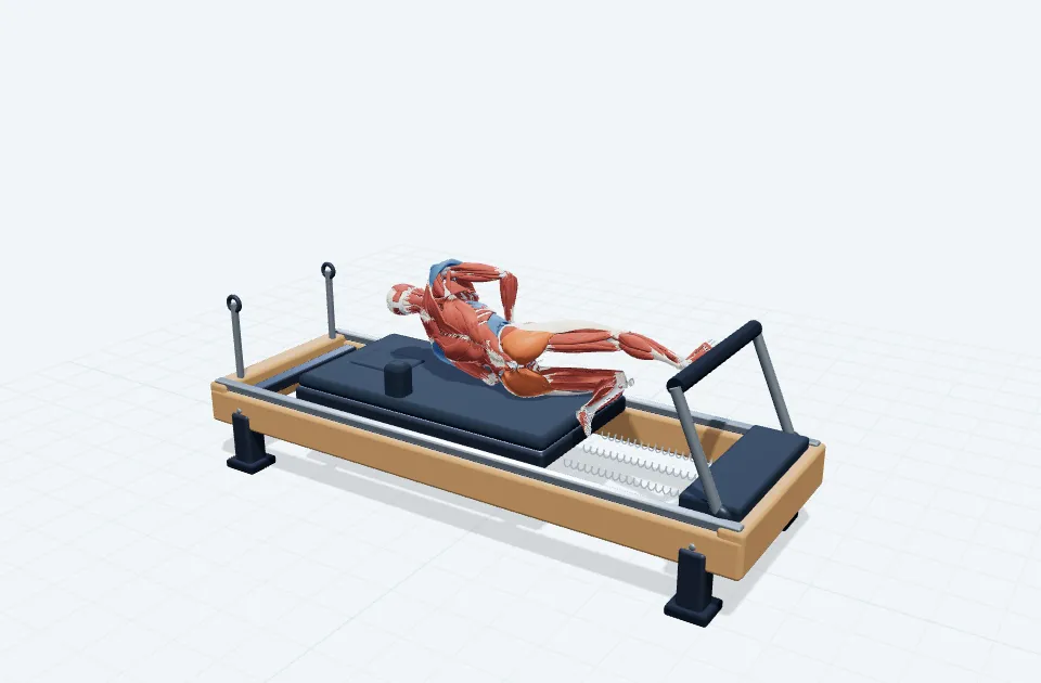 ローオブリークレッグプレスの動作の一場面を示す3D模式図