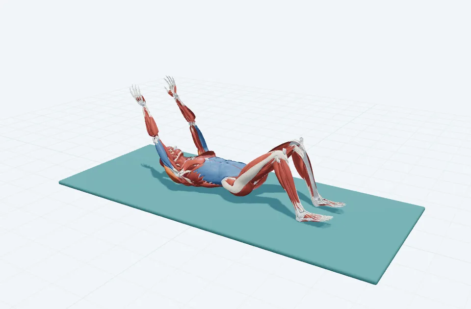 アームアークの3D模式図