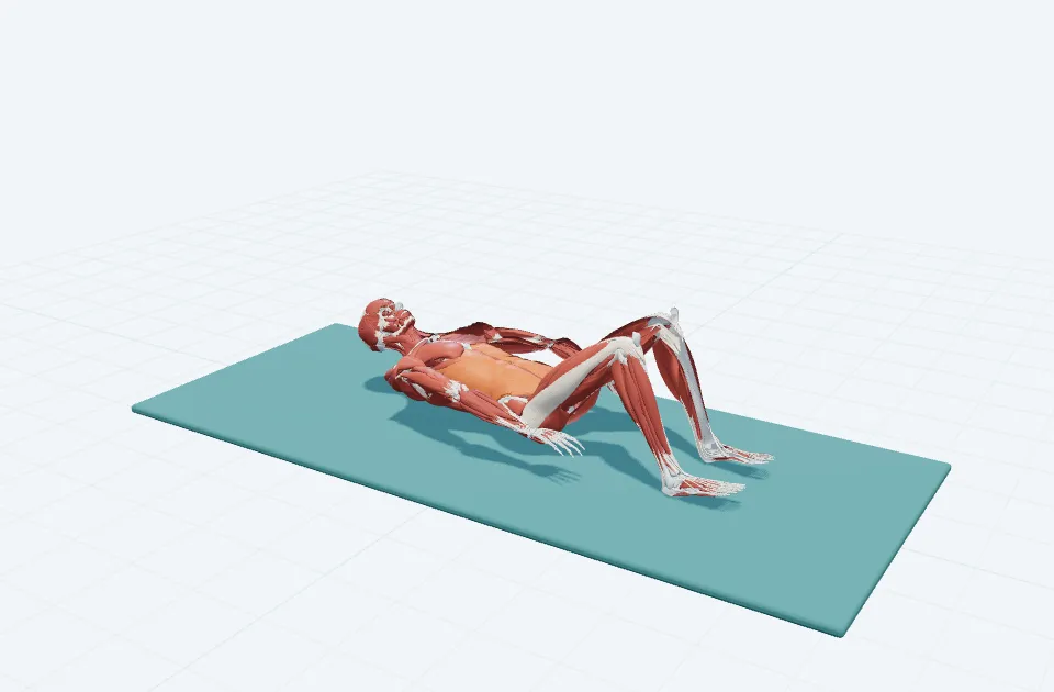 チェストリフトの3D模式図