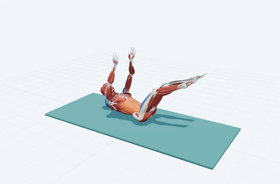 ダブルレッグストレッチの動作の一場面を示す3D模式図