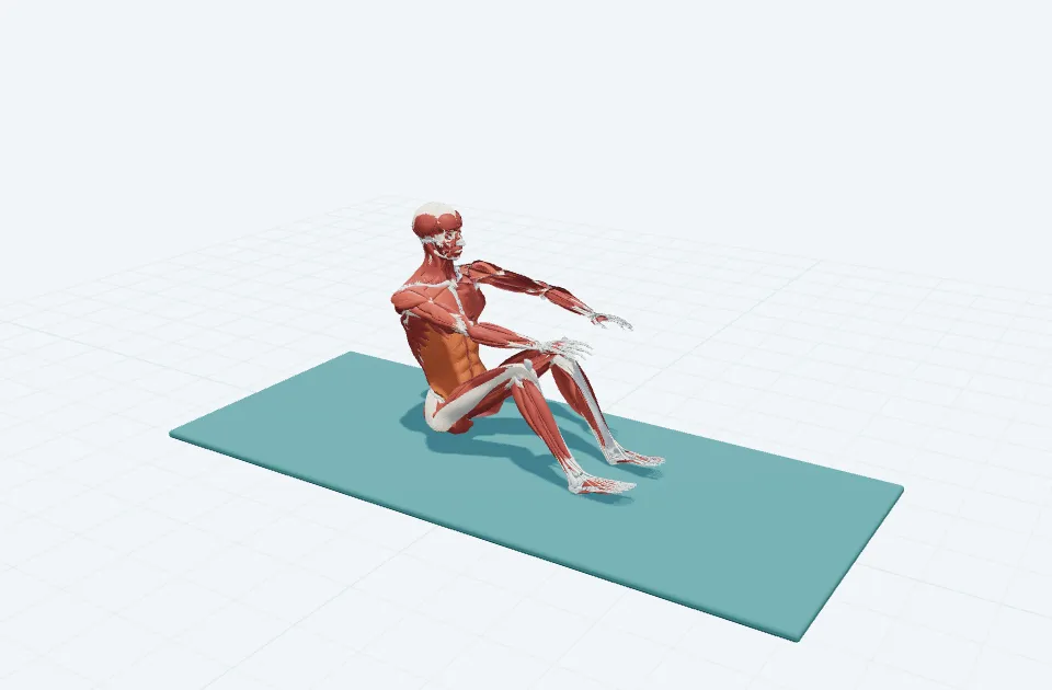 A schematic 3D view of Half Roll Back