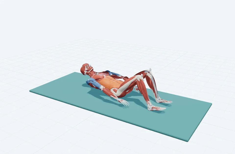 ハンドレッド・プレップの動作の一場面を示す3D模式図