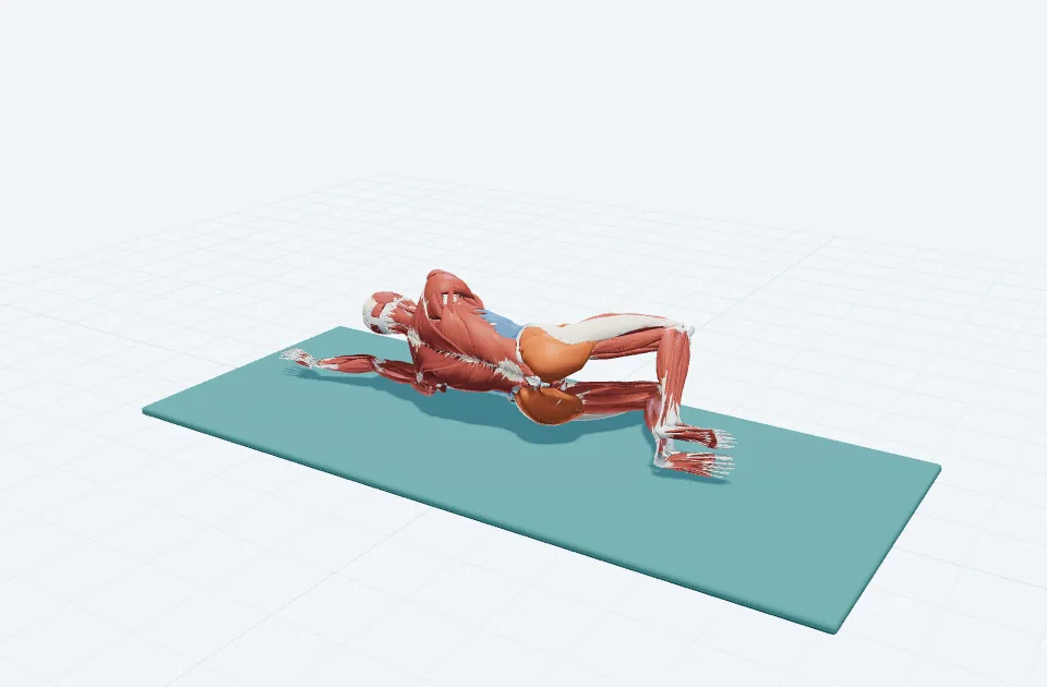 サイドクラムの3D模式図