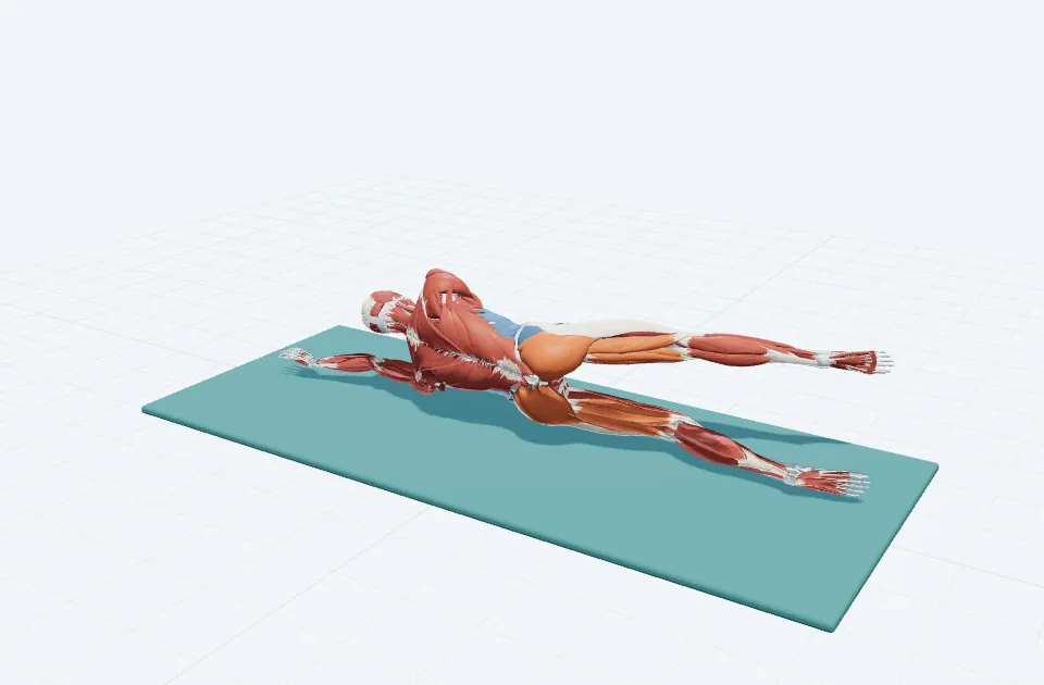 A schematic 3D view of Side Kick · Front and Back
