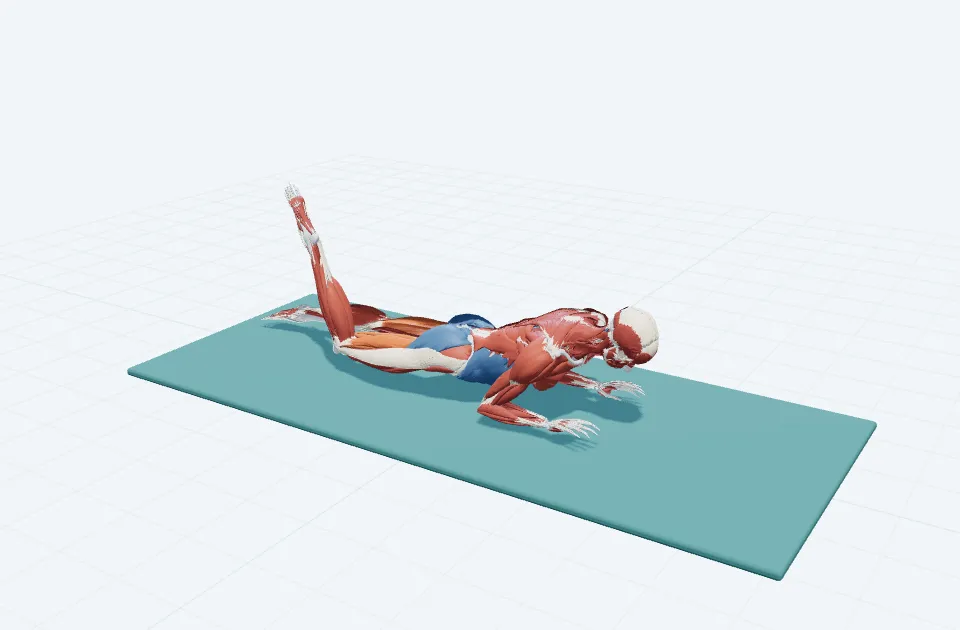 A schematic 3D view of Single Leg Kick · Slow Pulses