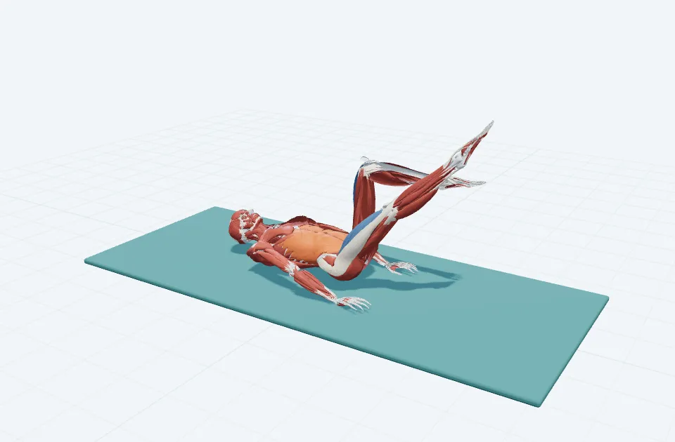 シングルレッグストレッチの動作の一場面を示す3D模式図
