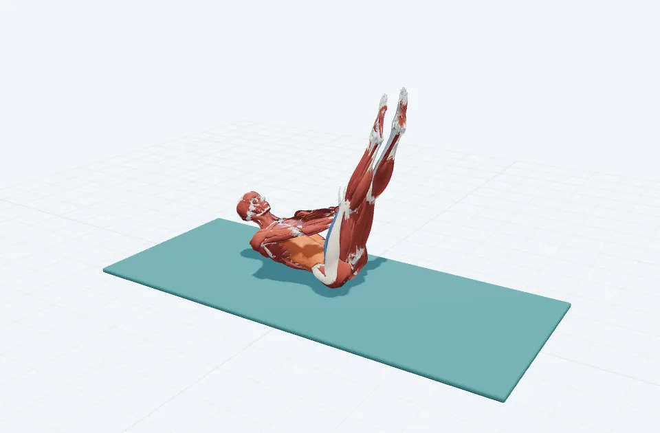 シングルストレートレッグストレッチの動作の一場面を示す3D模式図