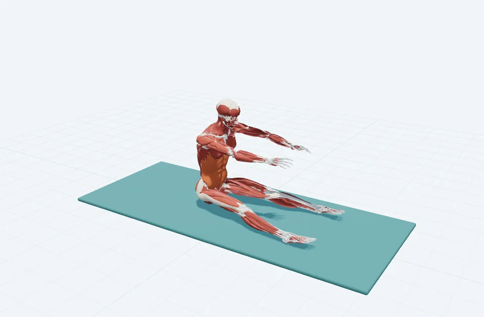 スパインストレッチの動作の一場面を示す3D模式図