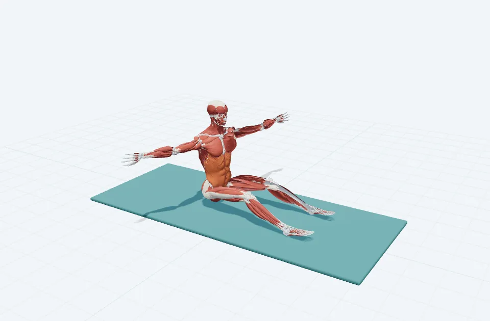 スパインツイストの3D模式図