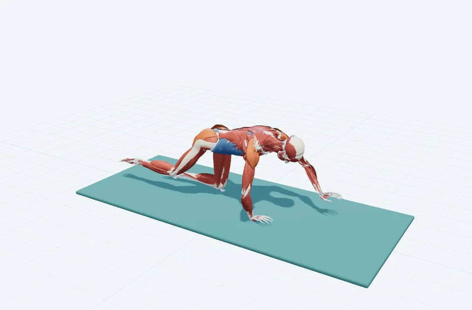 スイミング・プレップの3D模式図