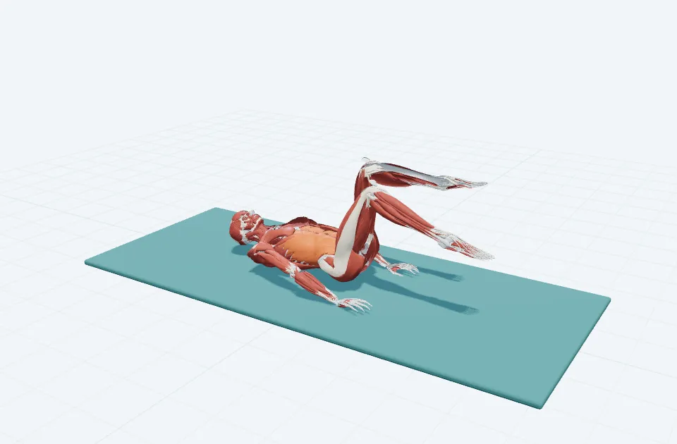 トータップの3D模式図