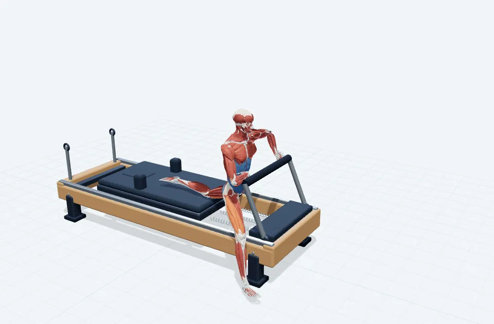 クアドストレッチランジの動作の一場面を示す3D模式図