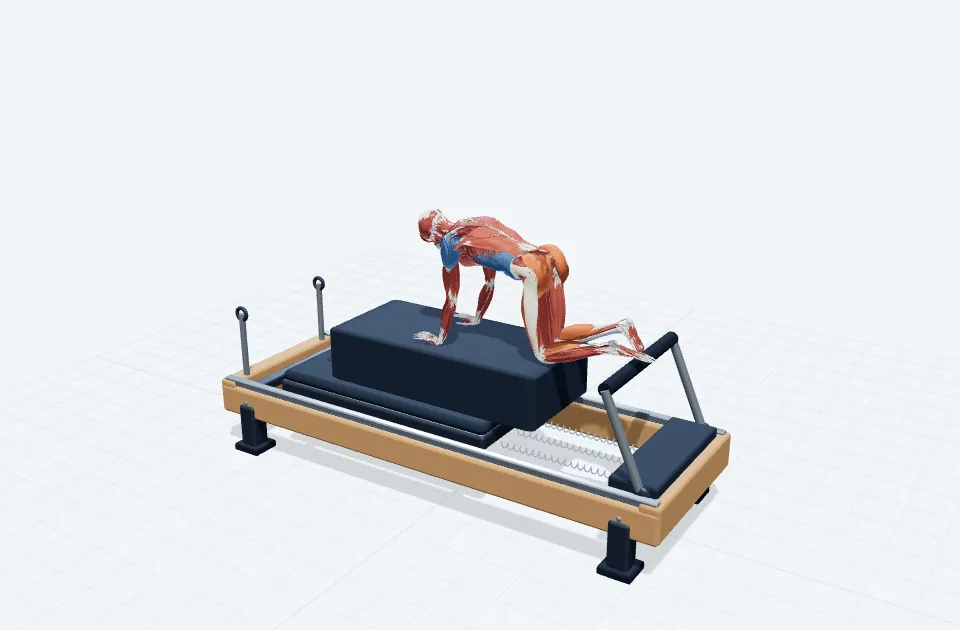 フォースタンスジャンプエクササイズの動作の一場面を示す3D模式図