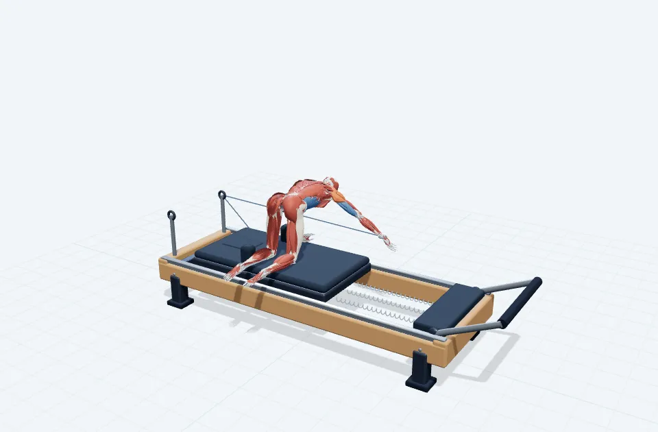 フォースタンスリアデルトイドの動作の一場面を示す3D模式図