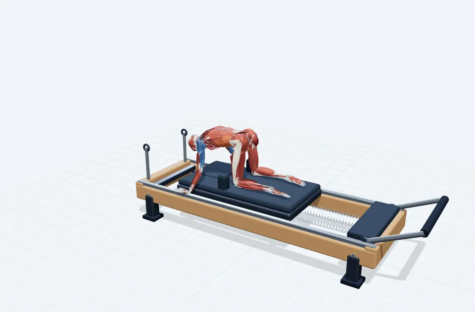 レジスタンスキャットバックの動作の一場面を示す3D模式図