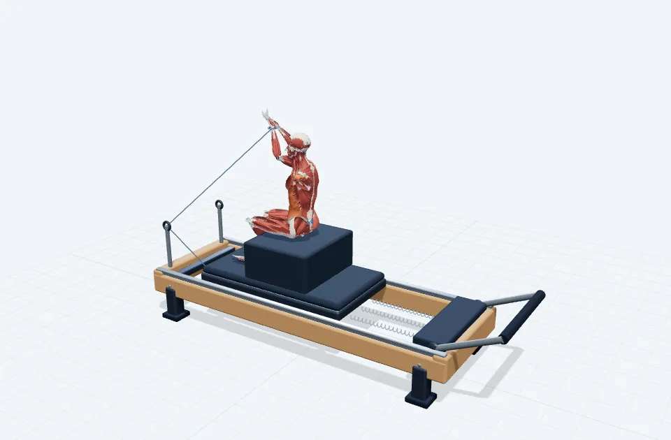 A schematic 3D view of Seated Twist Reach