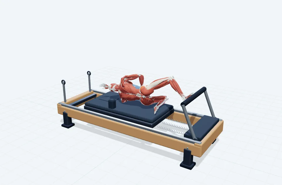 サイドライイングクラムシェルの動作の一場面を示す3D模式図