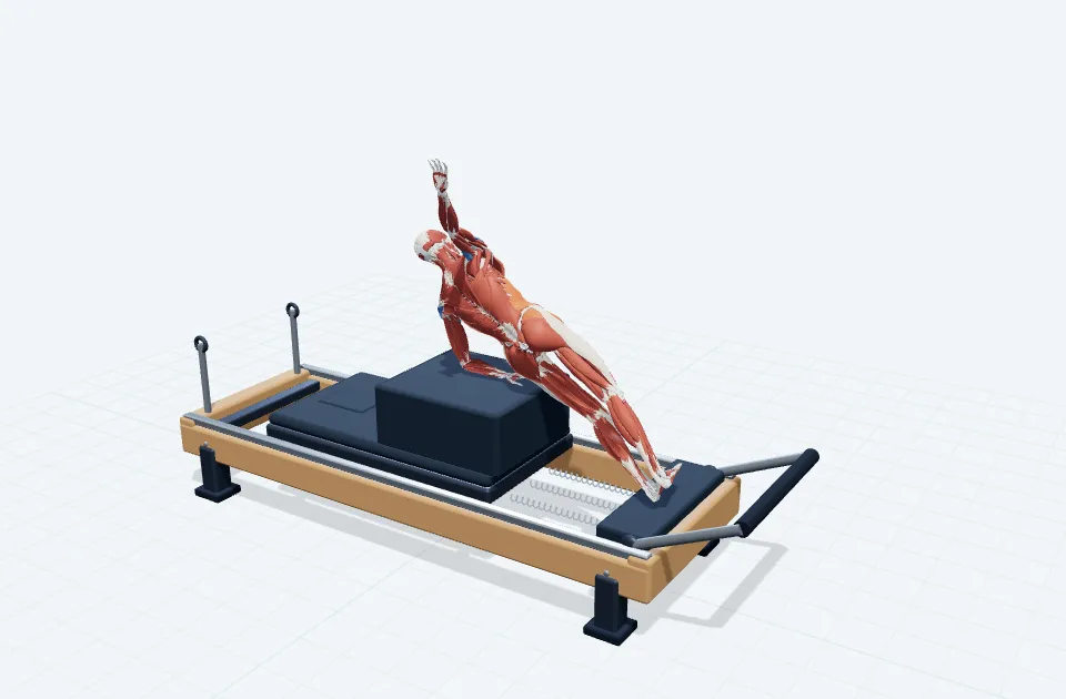 スタンディングサイドプランクの動作の一場面を示す3D模式図