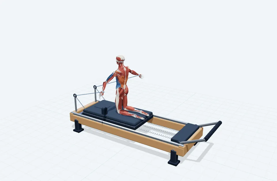 TKショルダーサークルの動作の一場面を示す3D模式図