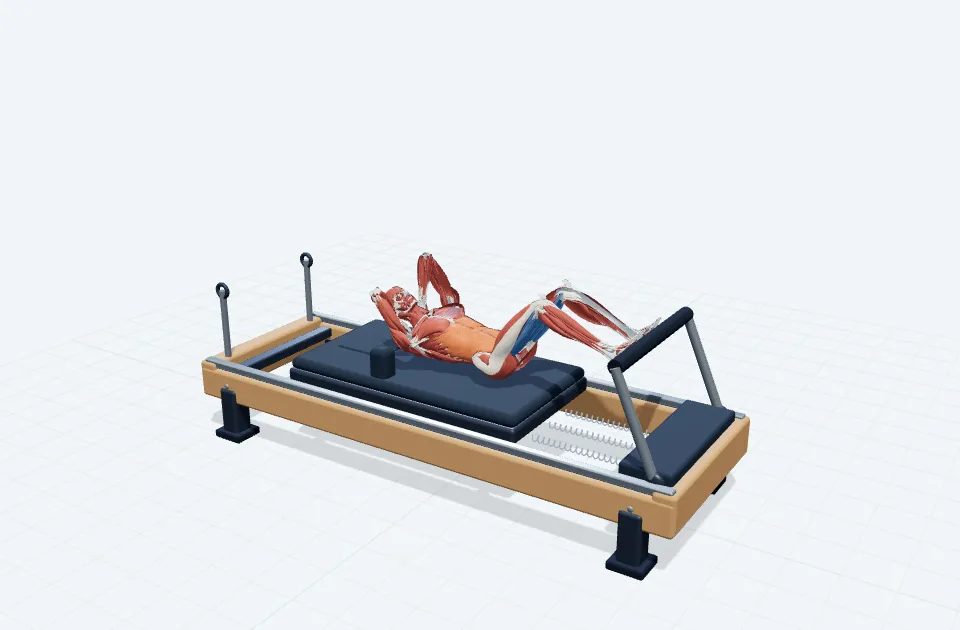 ツイストカールアップの動作の一場面を示す3D模式図