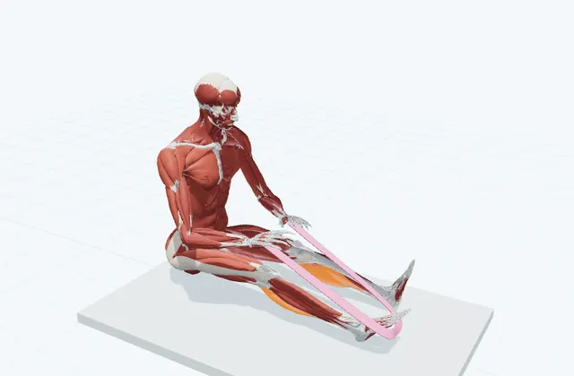 ふくらはぎのチューブトレーニング(つま先押し)の動作の一場面を示す3D模式図