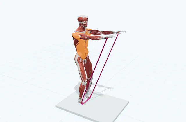 A schematic 3D view of Band Front Raise