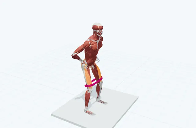 A schematic 3D view of Lateral Band Walk