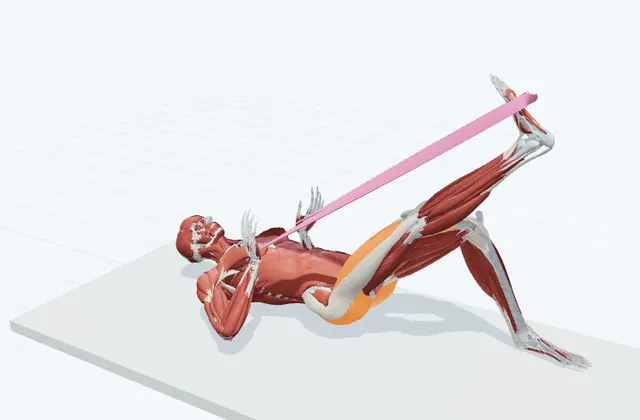脚のチューブトレーニング(仰向けで押し出す)の動作の一場面を示す3D模式図