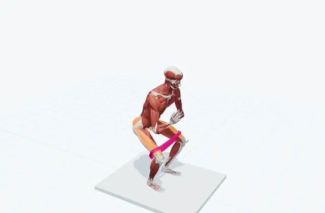 脚とお尻のチューブトレーニング(スクワット)の動作の一場面を示す3D模式図