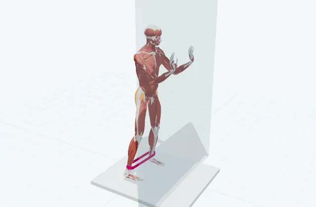 お尻の横のチューブトレーニング(立って脚上げ)の動作の一場面を示す3D模式図