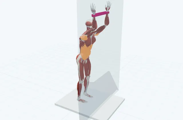 肩のチューブトレーニング(壁に腕を滑らせる)の動作の一場面を示す3D模式図