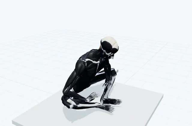 足裏を合わせる内ももの3D模式図