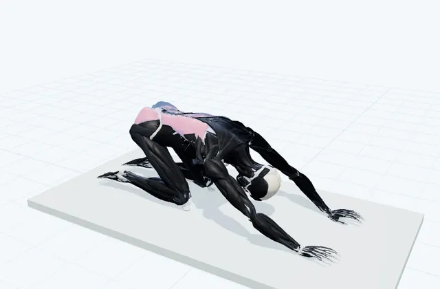 腕を前へ伸ばす休息姿勢の3D模式図