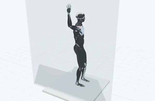 壁で胸を開くの3D模式図