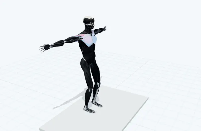 腕を開いて閉じるの3D模式図