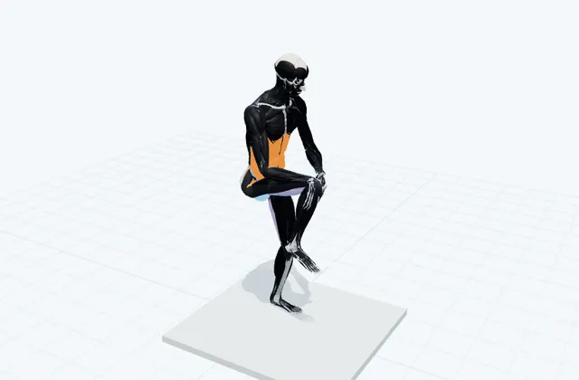 膝を交互に抱えるの3D模式図