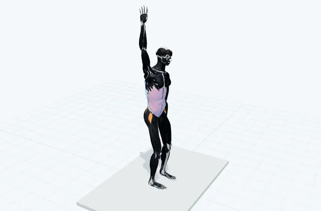 左右へ体を倒すの3D模式図