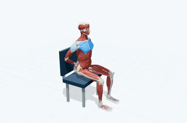 胸のストレッチ(椅子・背中で手を組む)の動作の一場面を示す3D模式図