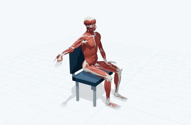 腕の前側の神経を滑らせるの3D模式図