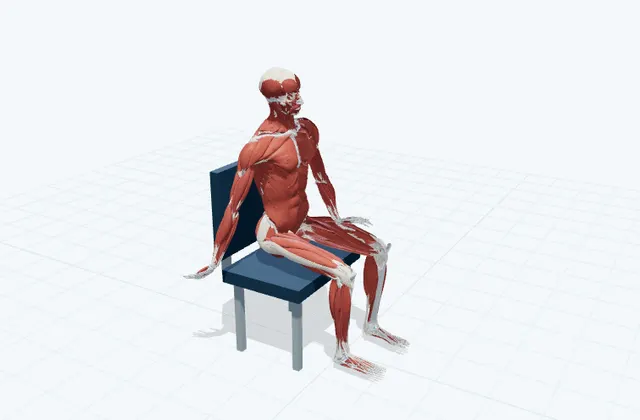 腕の手の甲側の神経を滑らせるの3D模式図