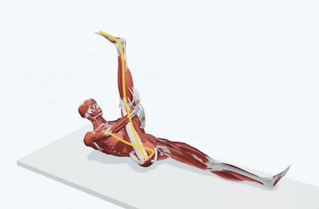 A schematic 3D view of Supine Tibial Nerve Glide