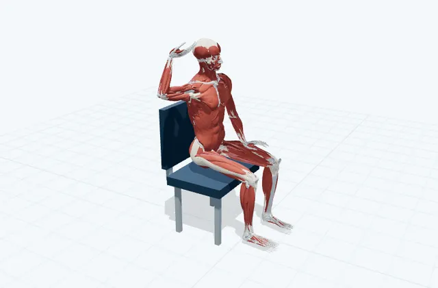 腕の小指側の神経を滑らせるの3D模式図