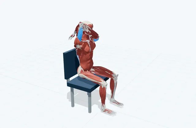 二の腕のストレッチ(頭上で肘を曲げる)の動作の一場面を示す3D模式図