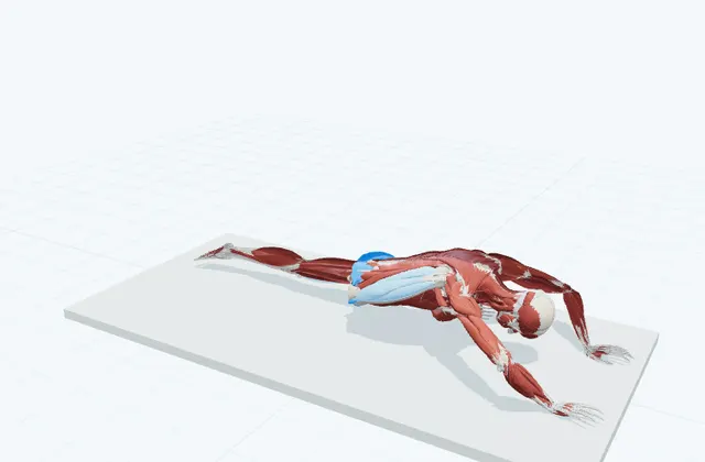 お尻のストレッチ(鳩のポーズ)の動作の一場面を示す3D模式図